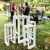 Mesa Frame