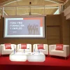 Sillón Congreso
