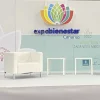 Sillón Congreso