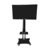 TV 50” con soporte de pie