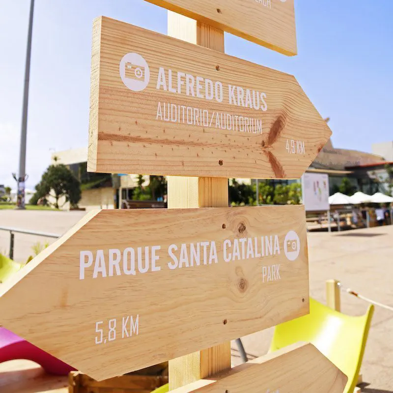 Flechas madera