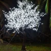 Almendro luminoso