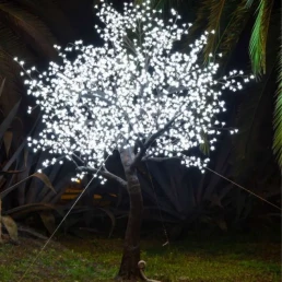 Almendro luminoso