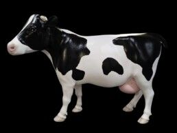 Vaca