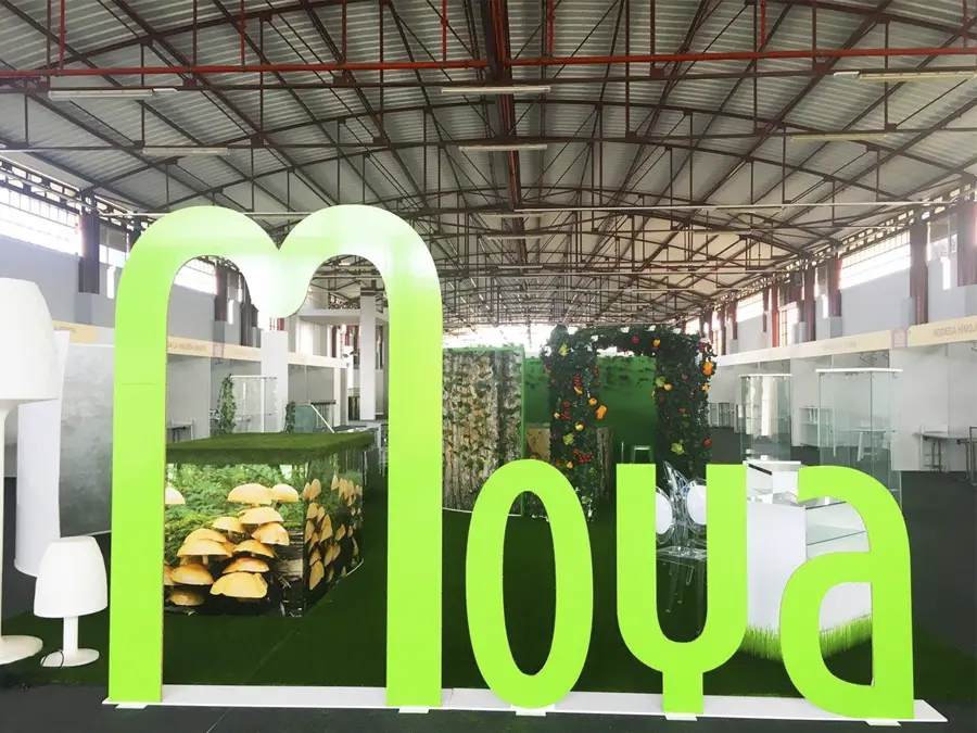 STAND MOYA