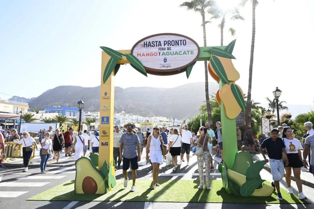 ARCO FERIA MANGO Y AGUACATE MOGÁN 2025