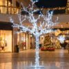 Almendro Luminoso 2,50 m