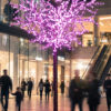 Cerezo Luminoso 4 m Lila