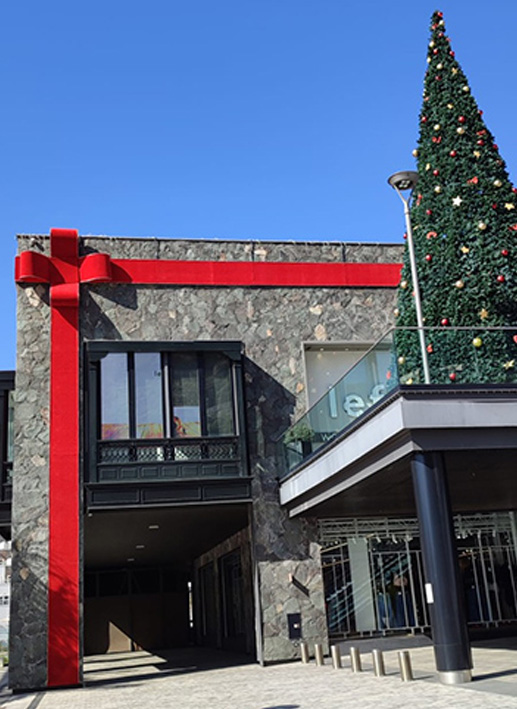 Lazo Navidad en Fachada