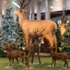 Reno Navideño EPS